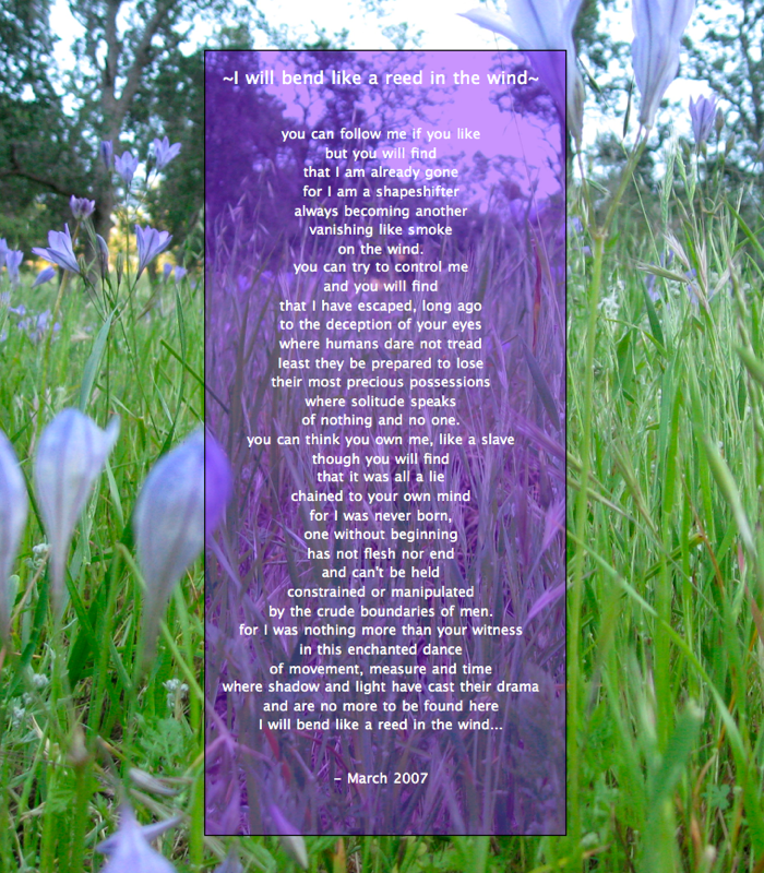 I Will Bend as Picture